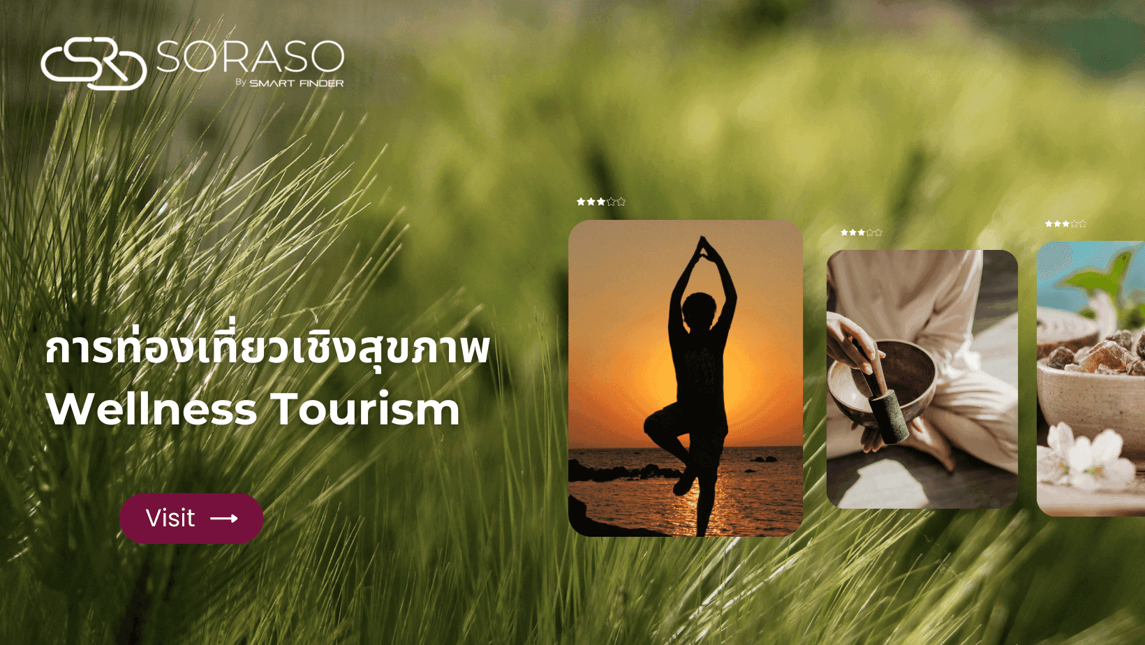 การท่องเที่ยวเชิงสุขภาพ (Health Tourism) หรือ Wellness Tourism 