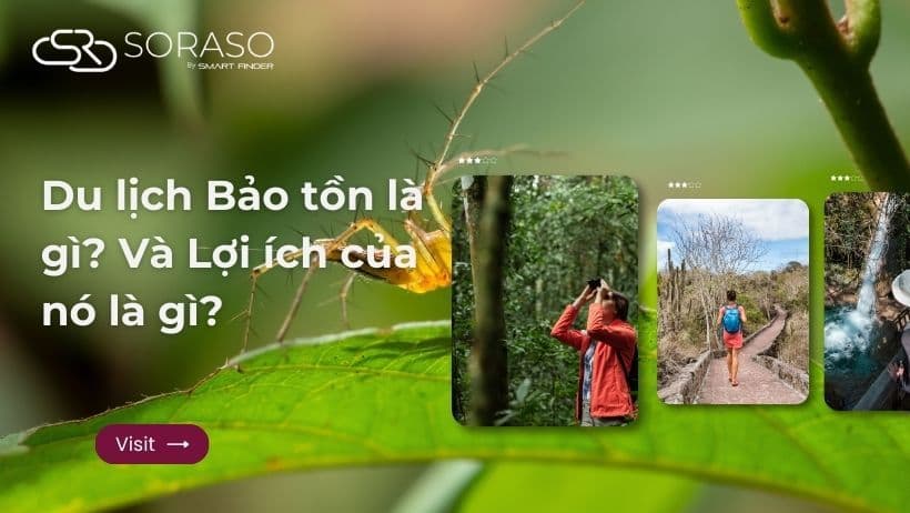 Du lịch Bảo tồn là gì? Và Lợi ích của nó là gì?